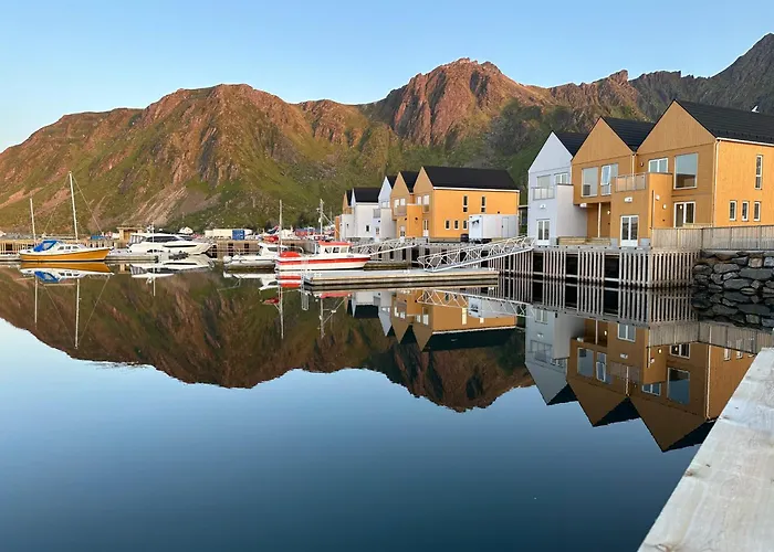 The Modern Fisherman Lofoten